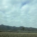 쉼농원 | 안동숙소 쉼농원 독채펜션