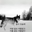 아랑고고장구 이미지