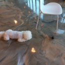 어라운드1142 이미지