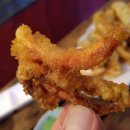 오징어나라 이미지