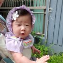 (주)씨디플러스 이미지