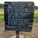 청산도 여행⑤ 읍리 ‘고인돌(지석묘) 공원 이미지