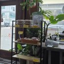 옛날토종국밥 | 충남대 병원 근처 대사동 밥집 조선토종국밥 방문후기