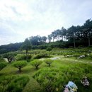 축사랑목장 | 수원 근교 수목장 어디가 좋을까? 실제 비교로 알아본 인기 지역