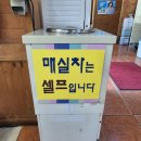 별미묵밥 | 구미 여름 별미 맛집 콩밭애 , 콩국수와 묵밥 후기