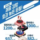 비바점핑다이어트