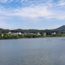 안성손칼국수 이미지