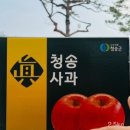팜5150 이미지