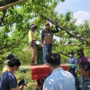 제주댁 농장 이미지