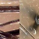 광교이마트 이미지