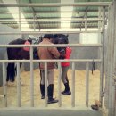 부안아리울승마장 이미지