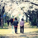 창원대로 이미지