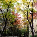 관곡초등학교(병설) 이미지