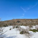 신비손세차장 이미지