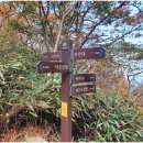 삼거리산장 이미지