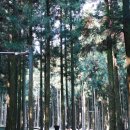 닥터후 <b>브릿</b><b>잉글리쉬</b> Day10 영어회화 아침회화