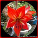 제중당약국 이미지