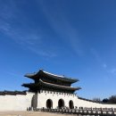 댕댕빌리지 | 북촌 뉴발란스 렌탈&amp;댕댕런 후기