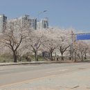 덕풍천동로 네이버블로그