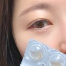 으뜸50안경대전둔산점 | 함수율 높은 자연스러운 데일리렌즈 추천/가성비 오유파인 블랙 브라운 렌즈 1+1