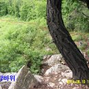 왕터산 정상 이미지
