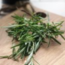 로즈마리 이미지