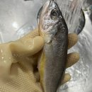 한식조리기능사 실기 이미지