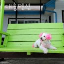 대송펜션 이미지