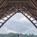 발리(BALI) 이미지