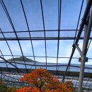 사유랑 호스텔 이미지