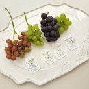 용인시농업기술센터 | 용인시 농업 기술센터와 함께한 토요일 : 포도와 농장 현장 수확 체험 프로그램 진행