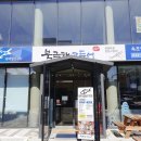 cu속초엑스포공원점 | 청초호맛집 북극해고등어 속초엑스포점 화덕생선구이 내돈내산 후기