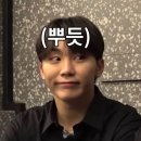 팔캐럿