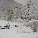 안법초등학교 이미지