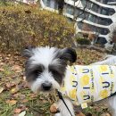 (주)유나이티드인터팜 | 11월마지막주의 기록🐼🤍