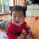 묘한 하루 이미지