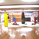 태백체육관 이미지