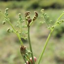 남원읍-29 이미지