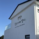 장군목장 | 🏝️제주 목장카페 밭디 후기🐎