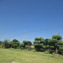 암태한옥민박 이미지