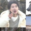 안수영농장 이미지