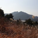 산양 궁항마을 이미지