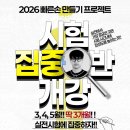 빠른손