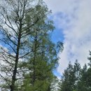 베르크농장 이미지