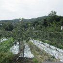 산 목장 이미지