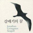 갈매기의 꿈 이미지