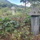 운곡리 티스토리