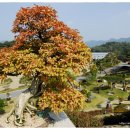 하대리목장 이미지