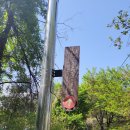 올레길 도심형 2코스 이미지