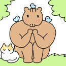 민장금
